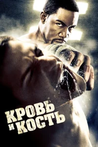 Kp0вb u k0сτb