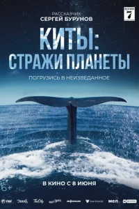 Kuτӹ: Cτpaжu nлaнeτӹ